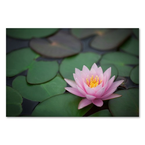 Postereck 2552 poster - 2552,