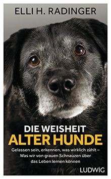 Die weisheit alter - die,