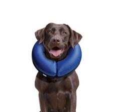 HALSKRAUSE OP SCHUTZKRAGEN AUFBLASBAR TRICHTER HALSKRAGEN HUNDEKRAGEN KATZE