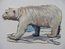 Glanzbild Oblate Poesiealbum Sammlung Kinder alt Tiere Eisbär recht groß