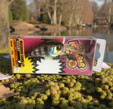 Illex Jackall MUSHBOB 50 MR