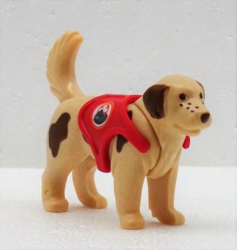 Bernhardiner hund geschirr - bernhardiner, +