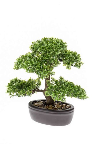 Artplants kunst bonsai ficus - kunst,