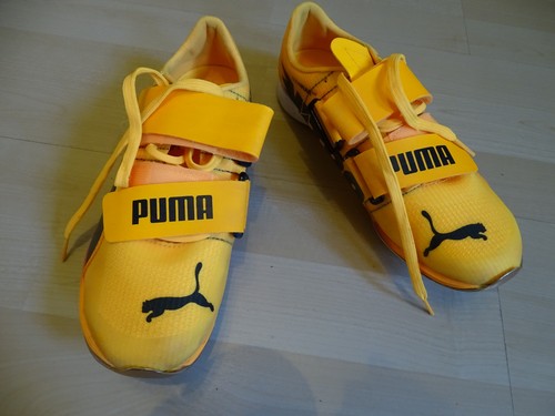 Spikes puma evospeed - spikes,