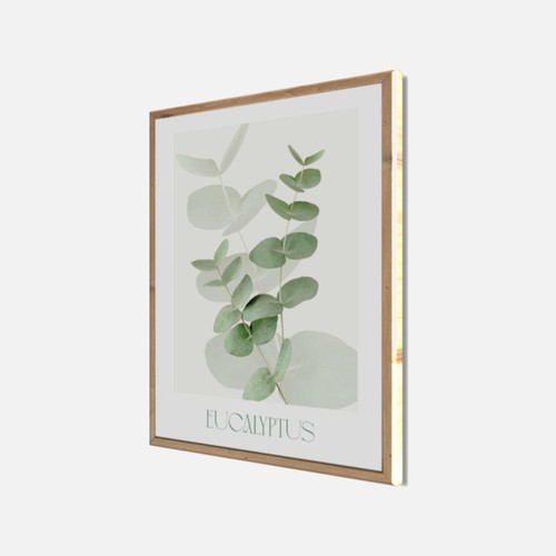 Wandbild gerahmt eucalyptus - gerahmt, 40