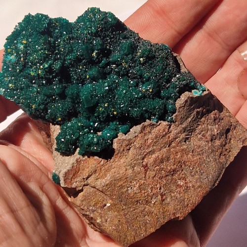 Dioptase mit mimetit spur - dioptase,