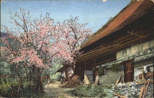 Gutach schwarzwald - gutach,