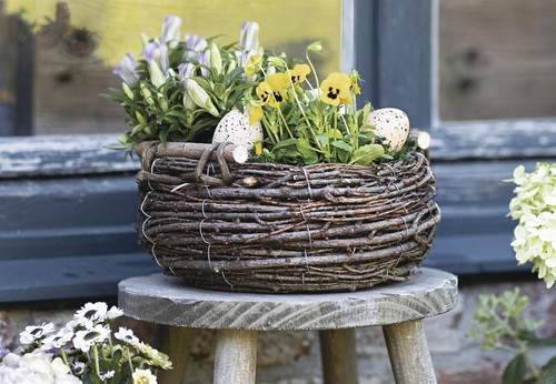 Blumen pflanz korb - blumen,