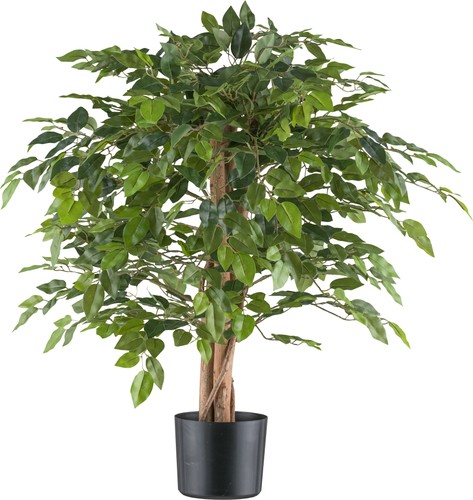 Ohne marke kunstpflanze ficus - kunstpflanze,