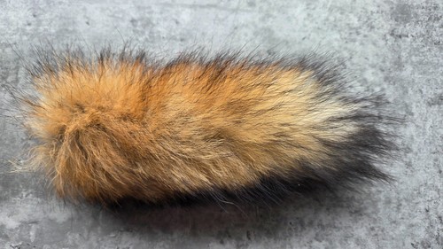 Ein stück rotfuchs - stück,