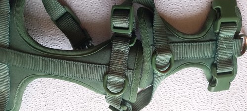 Hundegeschirr für welpen - hundegeschirr,