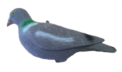 Taube ganzkörperköder herde - taube,