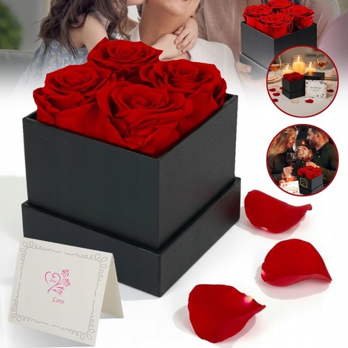 Ewige rose blumen infinity - rose,
