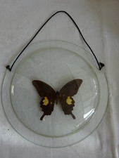 Vintage Deko  echter großer