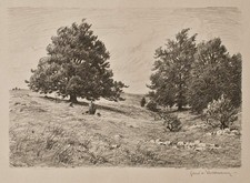 Richard von Volkmann Landschaft Wiesen Hans signiert Lithografie 1923