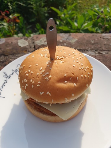 Burger hamburger spieße - hamburger, aus