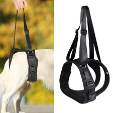 Hundegeschirr Tragehilfe