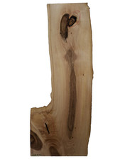 1x Nussbaum Ast Bohle Brett