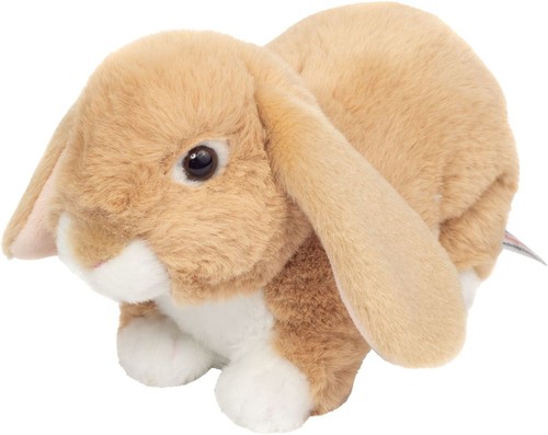 Hase gegliedert cognac