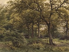 Aquarell highgate woods - highgate,