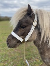 IN-HAND HALFTER WEISS LEDER