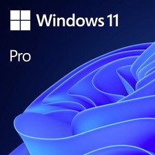 Microsoft Windows 11 Pro OEM Vollversion, 1 Lizenz  Englisch Betriebssystem