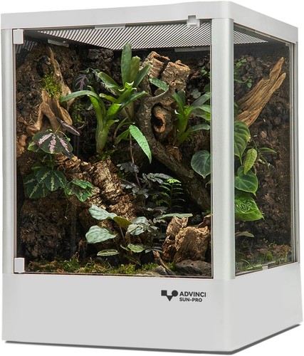 Reptile terrarium x12 x16 - terrarium, 12"x12"x16"