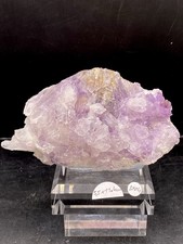 Amethyst Rose Brasilien