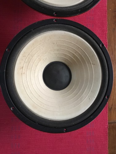 Ein paar selenium30w - ein,
