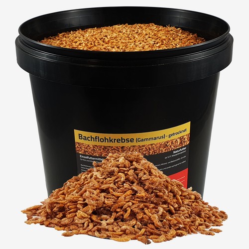 Liter bachflohkrebse - 10,