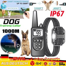 1000M Hund Ausbildung