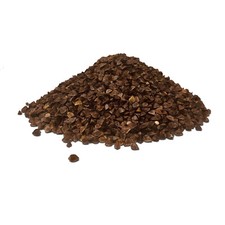 Buchweizen 2 kg Saatgut
