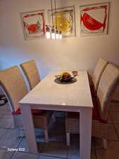 Esszimmer Set 8tlg Esstisch mit 4x Ratern  Stühle Modern Design Möbel Komplett