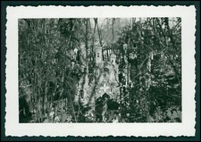 Foto 7x Rheinzabern im Park