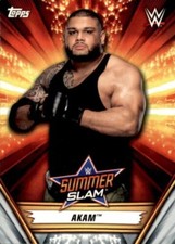 B1077- 2019 Topps Wwe