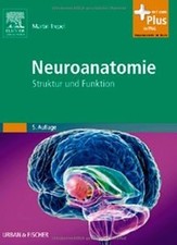 Neuroanatomie struktur und - struktur,