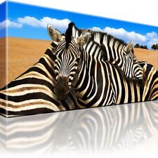 Zebra Tiere Dünnen Horizont Sand Sahara Afrika Bild Leinwand Bilder