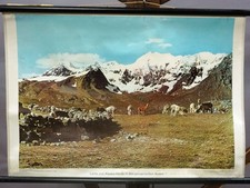 Cottagecore Wallchart Peru Anden Landschaft Alpaka Lama