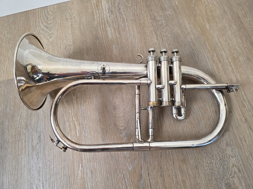 Flugelhorn schenkelaars - flugelhorn,