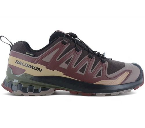 Salomon pro gtx - v9,