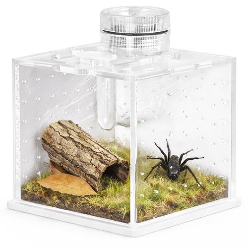 Terrario spidernook - terrario,