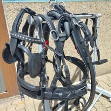 Top  Einspänner  Geschirr