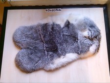 Graues Kaninchenfell  25x40 cm Kanin Pelz Chinchilla Kaninchen Fell Dekofell