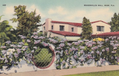 Postkarte usa florida - -, /