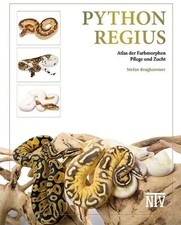 Python regius Atlas der
