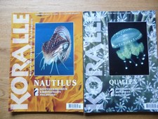 Koralle Meerwasseraquaristik-Fachmagazin