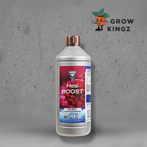 Hesi boost - hesi,