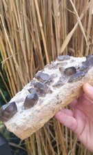 Rauchquarz,Alpine Schweizer