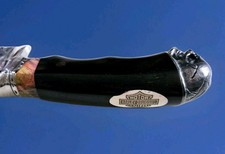 Harley Davidson Evil Skull