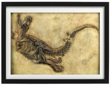 Fossilien Baby Tyrannosaurus